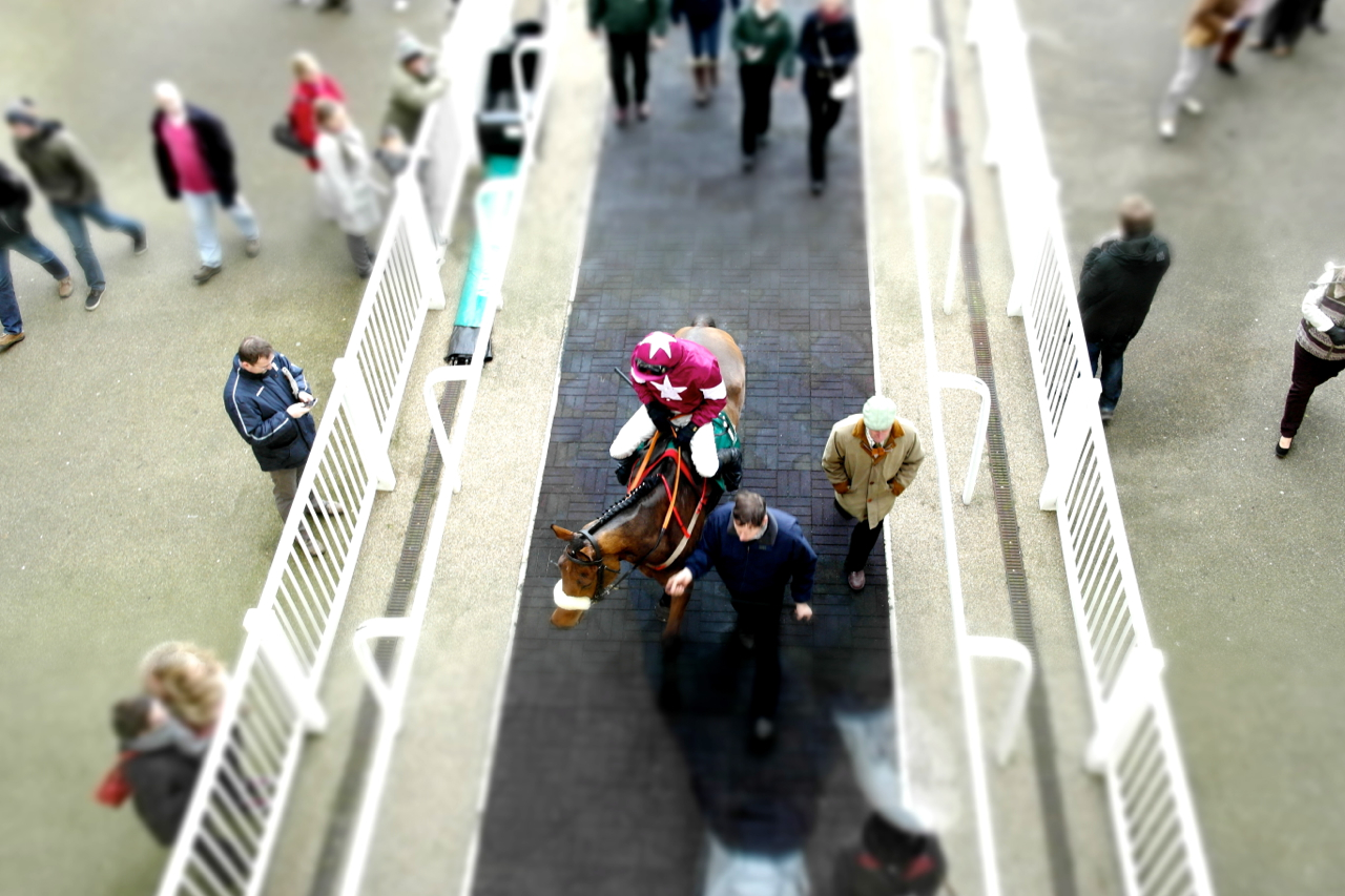 A jockey and racehorse entering the paddock at Aintree